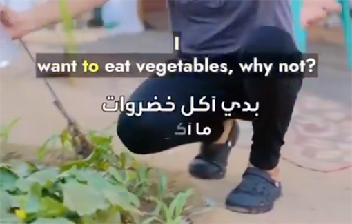 Thumbnail preview image for the video titled: Palestinians try to overcome food shortages by planting vegetables