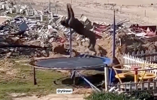 Thumbnail preview image for the video titled: Israeli soldier jumping on a displaced or dead child's trampolene in the rubble of Gaza