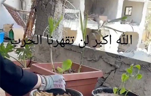 Thumbnail preview image for the video titled: Montage of a woman restoring her home after Israel destroyed it, with a focus on the pots for plants