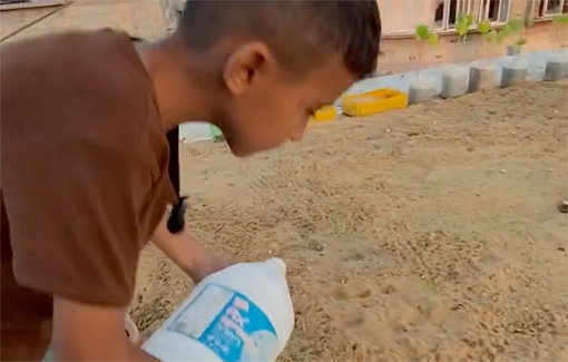 Thumbnail preview image for the video titled: 8 year-old Zein from northern Gaza grows potatoes on his roof to survive Israel's policy of starvation