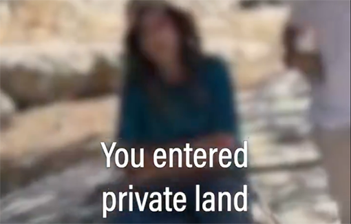 Thumbnail preview image for the video titled: Settler minors trespass fenced private Palestinian land in Susya, cause damage to crops