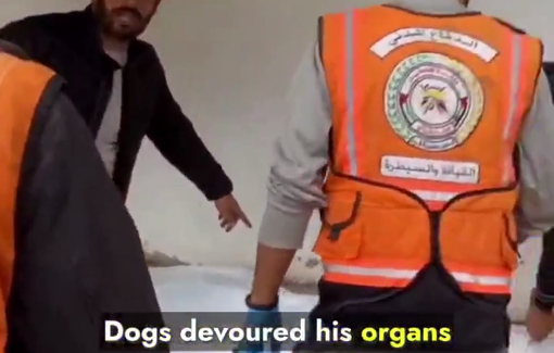 Thumbnail preview image for the video titled: Young man's body found eaten by dogs in Rafah