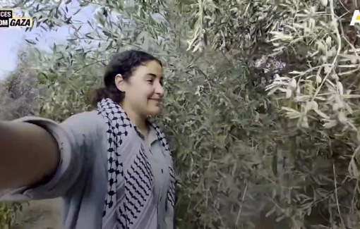 Thumbnail preview image for the video titled: Bisan about the olive harvest in the south of Gaza Strip despite the genocide