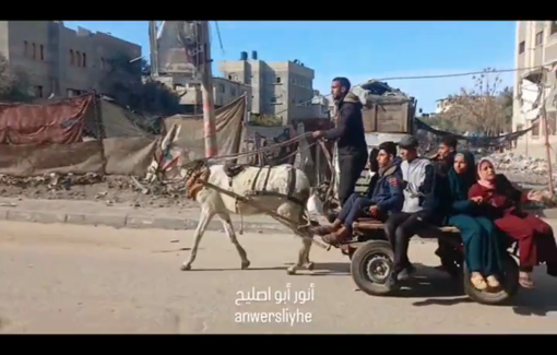 Thumbnail preview image for the video titled: Footage of Jabr Abu Atiwi transporting wounded Palestinians, days before Israel murdered him