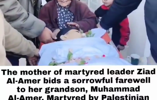 Thumbnail preview image for the video titled: The grand-mother bids farewell to Muhammad Al-Amed killed by Palestinian Authority