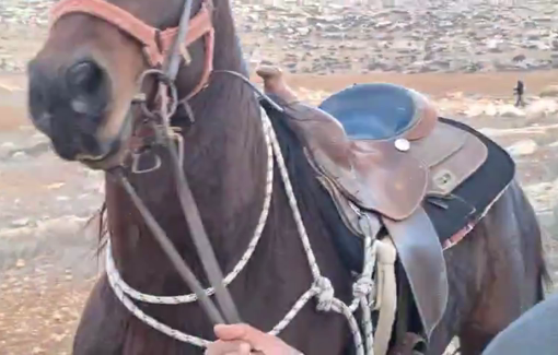 Thumbnail preview image for the video titled: In Susiya, four masked armed settlers harrass plowmen