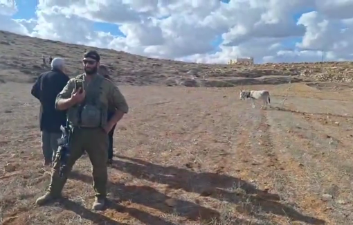 Thumbnail preview image for the video titled: Violent settler threatened the activits helping the Susiya farmers