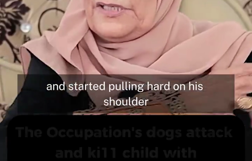 Thumbnail preview image for the video titled: A family from Shujai'ya tell how IDF's dogs attacked and killed a disable young Palestinian