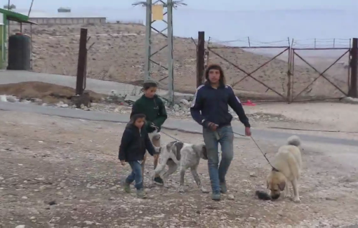 Thumbnail preview image for the video titled: Israeli Kids are sent for “reeducation” to settlements, where they are used to violently attack Palestinians