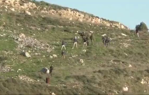 Thumbnail preview image for the video titled: Documentation about the olive harvest  season in Burin