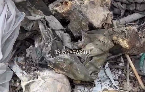 Thumbnail preview image for the video titled: More skeletal remains found in Rafah