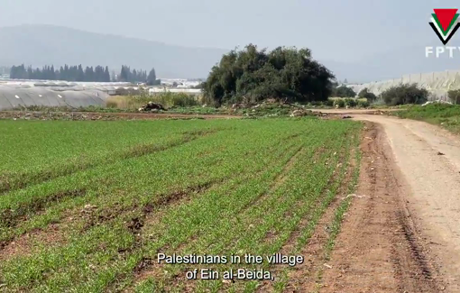 Thumbnail preview image for the video titled: Ein al-Beida faces constant Israeli settler attacks