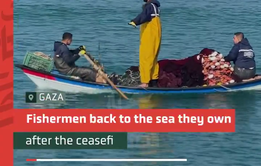 Thumbnail preview image for the video titled: Gaza fishermen return to their sea