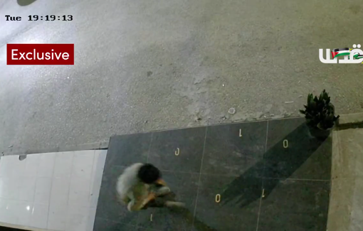 Thumbnail preview image for the video titled: CCTV footage captures a child being shot by Israeli soldiers