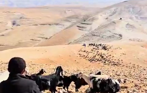 Thumbnail preview image for the video titled: 5 settlers in a SUV attacking goats on a Palestinian land in Sa'ir