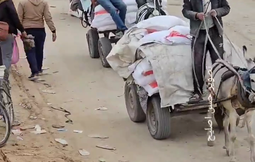 Thumbnail preview image for the video titled: Flour merchants travel south following IDF withdrawal from Netzarim