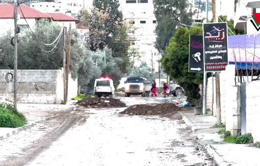 Thumbnail preview image for the video titled: 21th day of Israeli assault and siege on Jenin