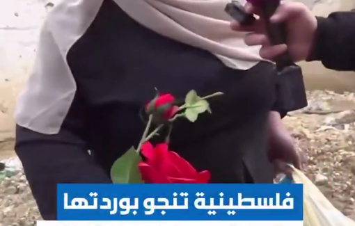 Thumbnail preview image for the video titled: She returned to Tulkarem camp just to get her roses and some belongings for her daughter