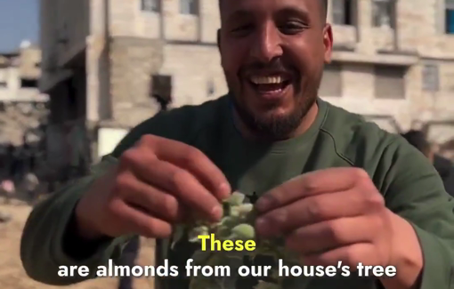 Thumbnail preview image for the video titled: In Nur Shams, a young man retrieved almonds from a tree inside his demolished home