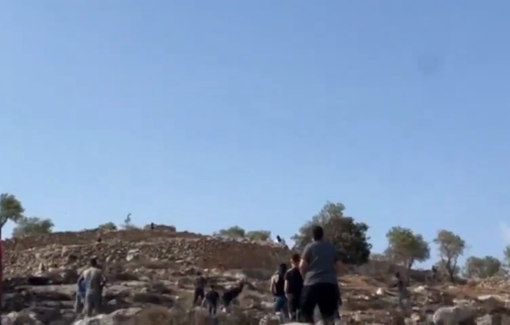 Thumbnail preview image for the video titled: Israeli settler militias open gunfire on Palestinians in the village of Burqa, east of Ramallah