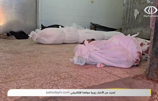 Thumbnail preview image for the video titled: Ahmad brothers killed while checking on their home