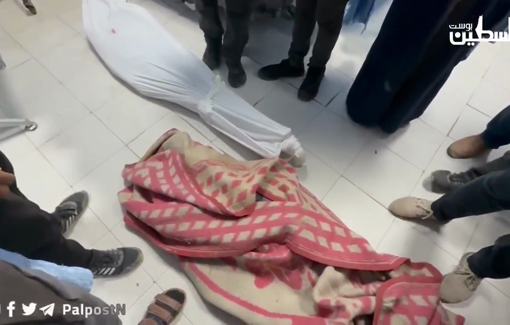 Thumbnail preview image for the video titled: Bodies of journalists and aid workers killed in Israeli aristrikes in Beit Lahia