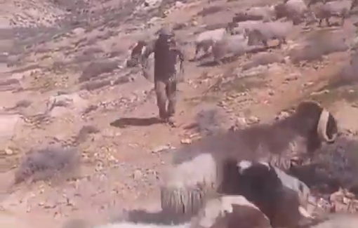 Thumbnail preview image for the video titled: Israeli settlers protected by soldiers attacked and chased Palestinian herders in the Masafer Yatta