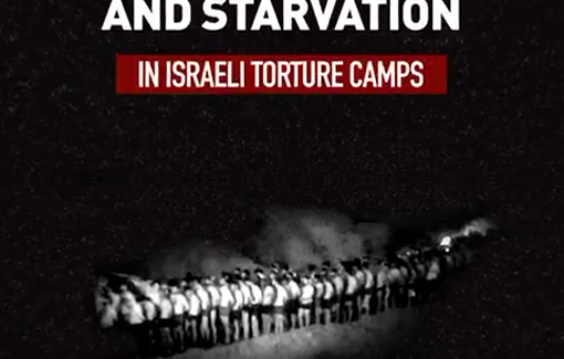 Thumbnail preview image for the video titled: Israeli prisons cut food rations for Palestinians to the point of starvation since 7 Oct