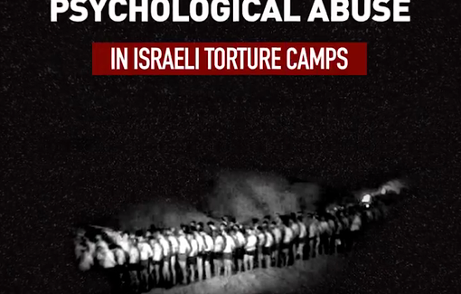 Thumbnail preview image for the video titled: Testimonies of physical and psychological torture by Palestinian detainees in several detention centers