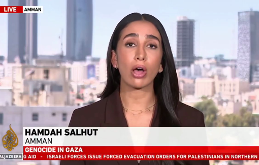 Thumbnail preview image for the video titled: The Austrian foreign minister says the so called 'Gaza Humanitarian Foundation' is not a reliable partner for aid distribution