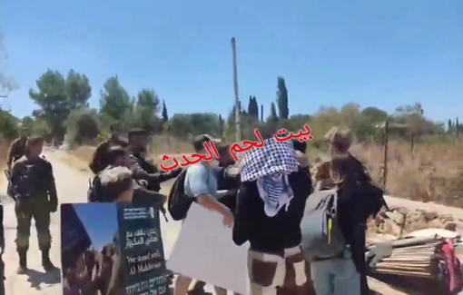 Thumbnail preview image for the video titled: IDF assaults activists protesting the theft of family private property in Al-Makhrour