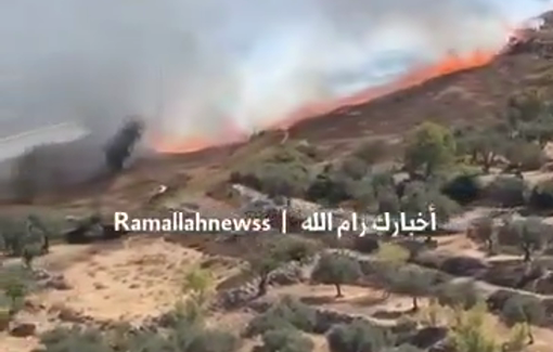 Thumbnail preview image for the video titled: Israeli militias burned Palestinian land in Beitin, west of Ramallah