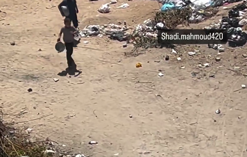 Thumbnail preview image for the video titled: Two starved Palestinian children return empty handed