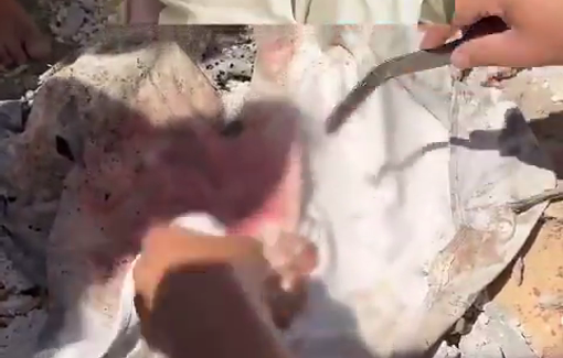 Thumbnail preview image for the video titled: IDF deliberately killed Abu Al-Qumsan family