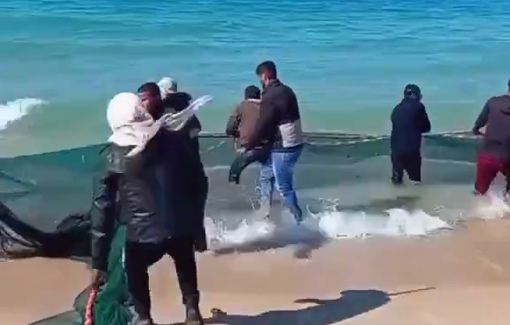Thumbnail preview image for the video titled: While the Israeli navy chased the Global Sumud Flotilla, Palestinians fished safely