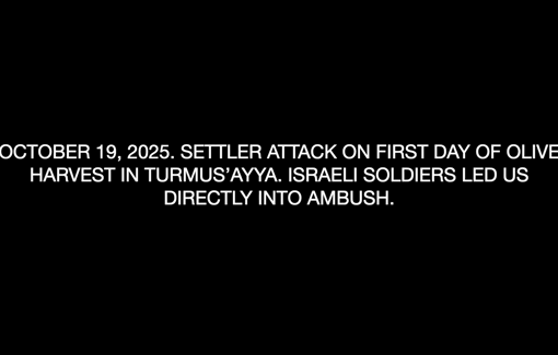 Thumbnail preview image for the video titled: Account by activist Jasper Nathaniel on the bloody trap set by soldiers and settlers in Turmus Ayya