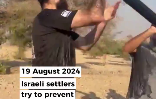 Thumbnail preview image for the video titled: Settlers harass and try to sever water lines for Palestinian farmers at Al-Auja spring