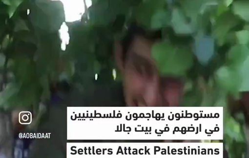 Thumbnail image of a video tagged with Al-Makhrour