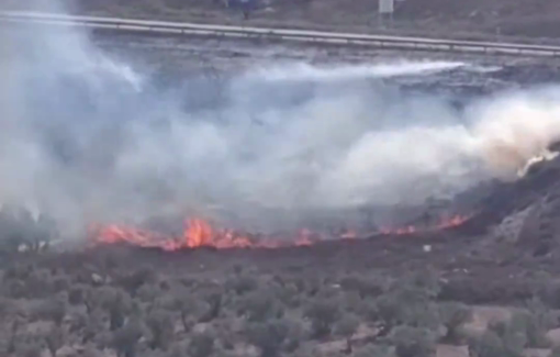 Thumbnail preview image for the video titled: Nablus - Olive groves burned by settlers