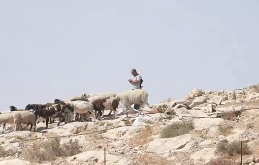 Thumbnail preview image for the video titled: Settler Isaschar Manne brought his herd to drink from the family’s water cistern