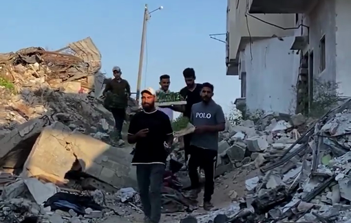 Thumbnail preview image for the video titled: "Tharma" project distributes seedlings to 100 families across the Nothern Gaza