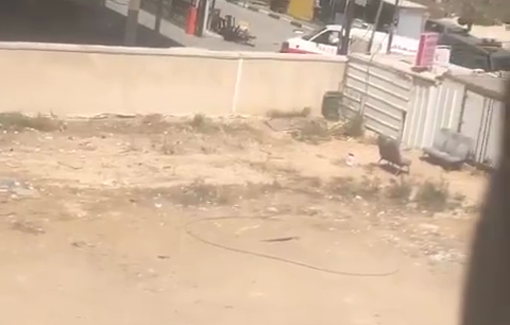 Thumbnail preview image for the video titled: IDF prevents ambulance carrying injured man from reaching Jenin government hospital