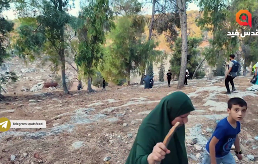 Thumbnail preview image for the video titled: Jenin families forcibly displaced by IDF from their homes in the eastern neighbourhood