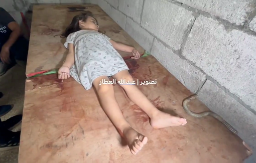 Thumbnail preview image for the video titled: Little girl Rahaf died without a drop of blood, from fear