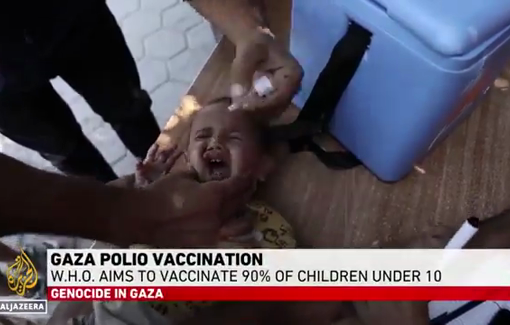 Thumbnail preview image for the video titled: ‘We cannot protect our children’: parents in Gaza face new threat of polio