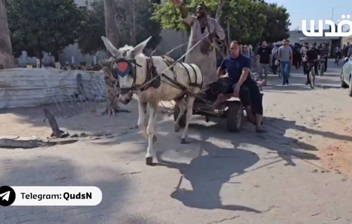 Thumbnail preview image for the video titled: Killed members of  Fakhouri family transported by donkey cart to Al-Ahli Baptist hospital.