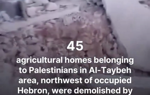 Thumbnail preview image for the video titled: IDF bulldozers have demolished 45 agricultural homes in Al-Taybeh area