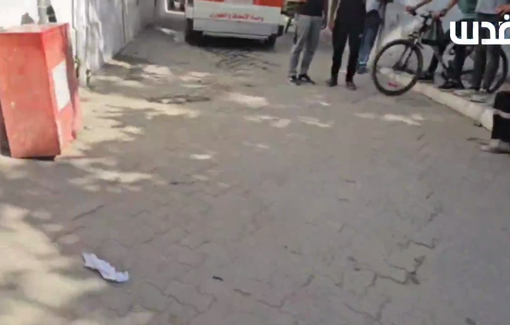 Thumbnail preview image for the video titled: Two boys injured in strike on Abu Asr family