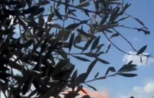 Thumbnail preview image for the video titled: Live footage of multiple Israeli airstrikes on Ghazi Al-Shawa school