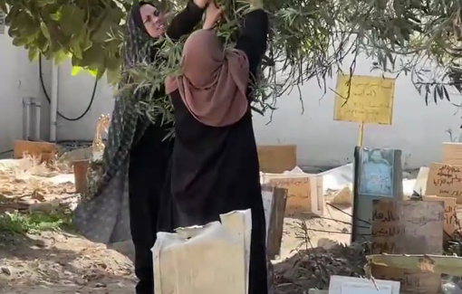 Thumbnail preview image for the video titled: Widow lays flowers on her husband's tomb every day